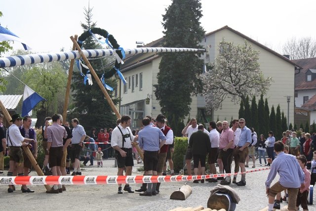 Maibaum 2013